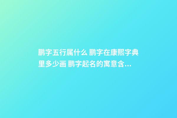 鹏字五行属什么 鹏字在康熙字典里多少画 鹏字起名的寓意含义-第1张-公司起名-玄机派